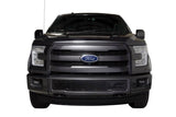 PUTCO BLACK PUNCH STYLE BUMPER INSERT 15-17 F150