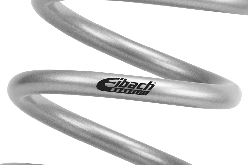 Eibach ERS Motorsport Spring (16003000100S)