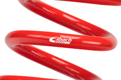 Eibach ERS Motorsport Spring (08002500475)