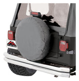 Spare Tire and Wheel (TC303209)
