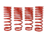 SK Lowering Springs