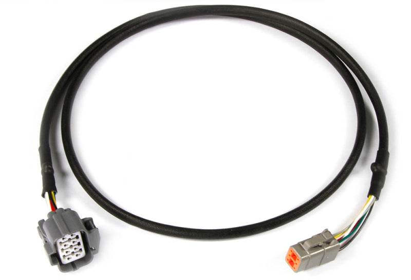 Haltech Faisceau adaptateur de sonde large bande NTK 1200mm
