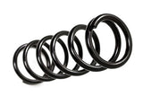 Standard Rear Coil SpRing Box Kit (18-22 Jeep Wrangler JL)
