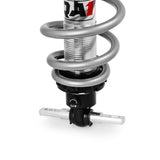 QAP Coil-Overs - Pro Coil