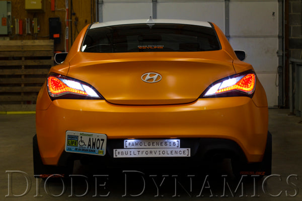 Diode Dynamics Module Tail as Turn +recul 13-16 Hyundai Genesis Coupe (USDM) module seulement