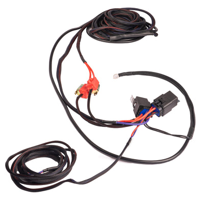 Aeromotive Ensemble de faisceau de câblage - pompe à carburant double
