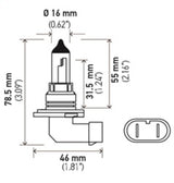 HELLA Halogen Bulb