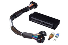 Haltech Faisceau adaptateur prêt-à-brancher Elite 1000/1500