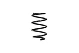 Eibach 2018-2023 Mustang Gt Coupe1.1In1.0In Prokit Lowering Springs Diamond Black