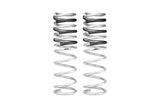 Pro-Lift Springs