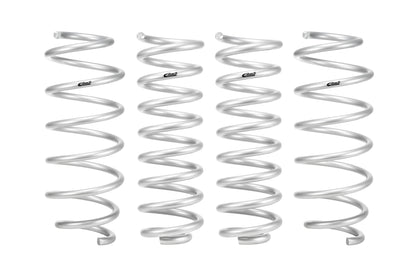 Pro-Lift Springs