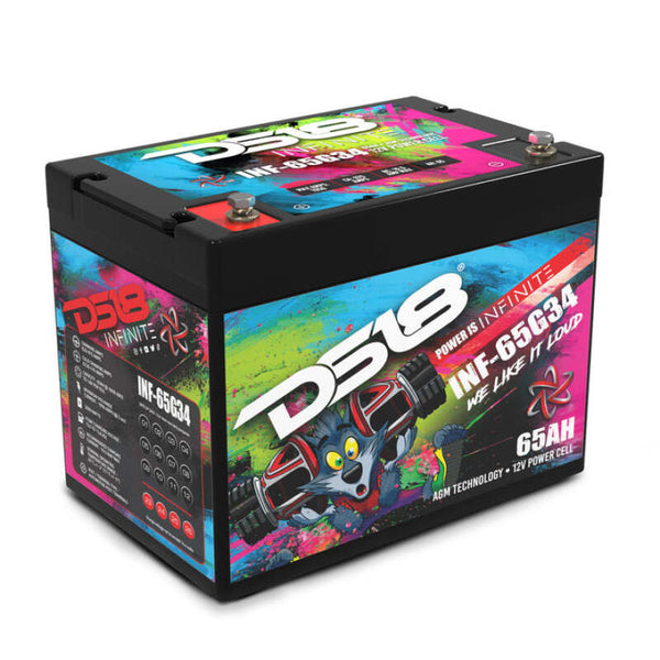 DS18 2000 Watts 65 AH Infinite AGM Power Cell Battery Group 34