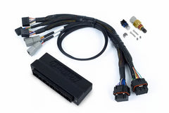 Haltech Faisceau adaptateur prêt-à-brancher NEXUS S2/S3
