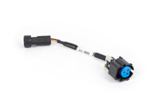 Haltech Faisceau adaptateur de capteur de pression d'huile Gen IV NEXUS Rebel LS