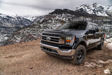 Husky Liners 2830127 Aeroskin II Low Profile Hood Protector Matte Black 2017-2022 Ford F-150 Raptor