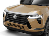 Aeroskin Hood Protector; Chrome (2892241)