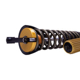 Suspension Shock Absorber and Coil Spring Assembly (41-338131)