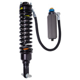 Suspension Shock Absorber and Coil Spring Assembly (41-314319)