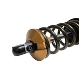 Suspension Shock Absorber and Coil Spring Assembly (41-341766)