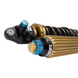 Suspension Shock Absorber and Coil Spring Assembly (41-327883)