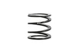 ERS Motorsport Spring (01752500250)