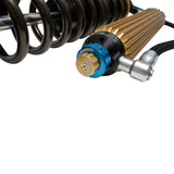 Suspension Shock Absorber and Coil Spring Assembly (41-341766)
