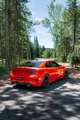 3in. Cat-Back. Dual Rear Exit. Race Version. AL. Dual Tips