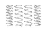 Pro-Lift Springs (E30350540122)