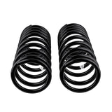 Rear Coil Spring Set (2982)