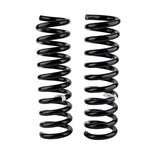 Front Coil Spring Set (3143)