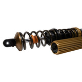 Suspension Shock Absorber and Coil Spring Assembly (41-338872)