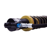 Suspension Shock Absorber and Coil Spring Assembly (41-338148)