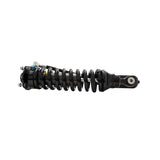 Suspension Shock Absorber and Coil Spring Assembly (41-332245)