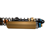 Suspension Shock Absorber and Coil Spring Assembly (41-338872)