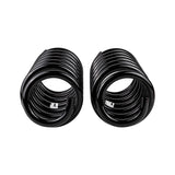 Rear Coil Spring Set (2725)