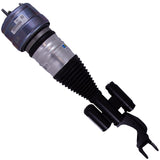 Air Suspension Strut (44-289294)