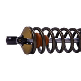 Bilstein Suspension Shock Absorber and Coil Spring Assembly (41338117) — view 7