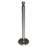 Crown Automotive Intake Valve (637182)