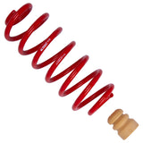 Suspension Kit (46-183521)
