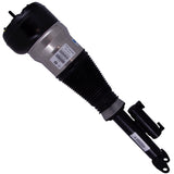 Air Suspension Strut (44-275396)