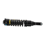 Suspension Shock Absorber and Coil Spring Assembly (41-326244)
