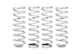 Pro-Lift Springs (E30340010622)