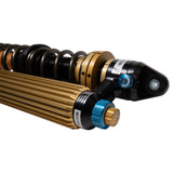 Suspension Shock Absorber and Coil Spring Assembly (41-338872)