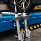 Suspension Strut Assembly (22-338242)