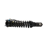 Bilstein Suspension Shock Absorber and Coil Spring Assembly (41332238) — view 3