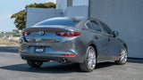 Axle-Back Exhaust System - S-Type — Front (11982)