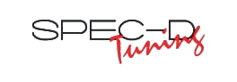 Spec-D Tuning
